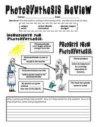 5th grade early beginning test (introducing myself/yourself; Photosynthesis Review For Upper Elementary Tpt