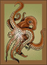 Octopus Octopus Art Octopus Kraken Art
