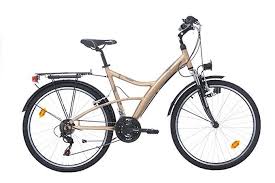Rsp Spr Domedia 26 Zoll Cityfahrrad Damen Cityrad Shimano 21 Gang Amazon De Sport Freizeit City Fahrrad Klapprad Fahrrad