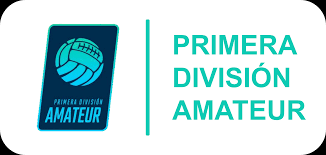 First division professional league) (local: Uruguayan Primera Division Amateur Wikipedia