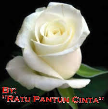 Kata mutiara bahasa inggris tentang bunga mawar roses dan artinya. Jangan Bikin Aku Bersedih 3 Ratu Pantun Cinta 3 Facebook