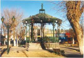 Chihuahua Nuevo Casas Grandes