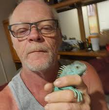 Who can paint my shed in New London?