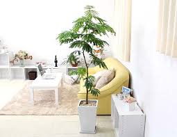 エバーフレッシュ 鉢替え後に葉が垂れる 観葉植物の育て方 ｑ ａ ブルーミングスケープ