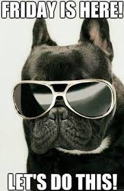 Craig would be so happy. Sandy James Teacher Author Superlative Type A On Twitter Its Friday Quotes Friday Quotes Funny Friday Humor