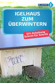 I Pinimg Com 736x B9 A4 96 B9a49604e7cea99f669c