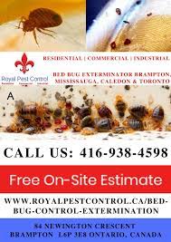 Canada pest control services in mississauga, brampton and toronto. Scott Allen Royalpest Profile Pinterest