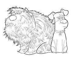 The secret life of pets. The Secret Life Of Pets Max And Duke Together In Their Home