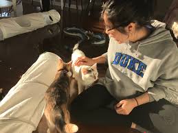 Cat Cafe opens in Chapel Hill | Proconian