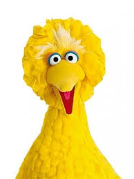 I hope everyone enjoys them as much as the. Big Bird Middlebury Offices And Services