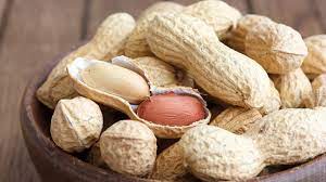Are Peanuts Safe For Dogs Pet Health Insurance Tips
