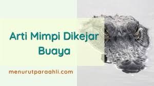 Mimpi melihat buaya masuk ke kali : Arti Mimpi Dikejar Buaya Di Darat Archives Menurut Para Ahli