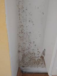 Wie viel schimmel ist gefährlich? Schimmel In Der Wohnung Sieht Jahrelang Gleich Aus Wie Entfernen Schimmelpilz