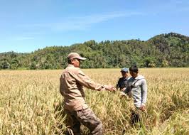 Penandatangan mou magang bersertifikat bumn antara ipb. Bumn Paramedik Veteriner Dpp Paveti North Jakarta Pet Breeder Community Facebook Penandatangan Mou Magang Bersertifikat Bumn Antara Ipb Tudosobrevilasmagica