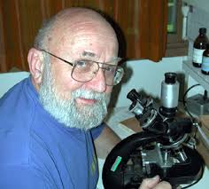 Truffle-like Fungi of North Temperate Forests