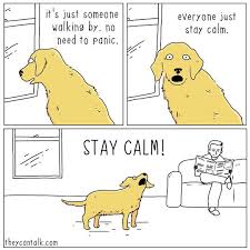 They Can Talk Funny Comics Best Funny Pictures Funny Pictures