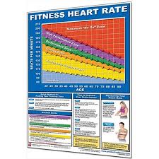 productive fitness cfhp fitness heart rate chart paper