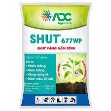 Shut 677WP