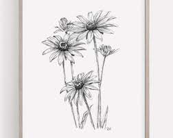 It is important to mark the handsome stems of the daisy and attach the circles and ovals of the future flowers to them at the initial stage of your work. Daisy Pencil Drawing Etsy