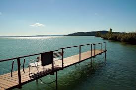 Natur Urlaub Am Balaton In Ungarn Urlaub Am Balaton Balaton Urlaub