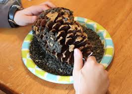 Your peanut butter doesn't need to be even. Pinecone Bird Feeder Frugal Fun For Boys And Girls