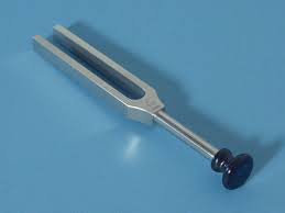Image result for Tuning Fork Test