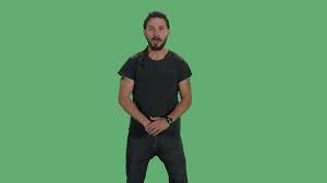 Pin On Shia Appreciation