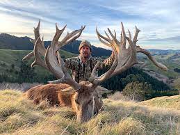 Jul 28, 2021 · where lifelong memories are created. New Zealand Hunting Nz S Best Red Stag Hunting