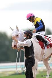 May 17, 2021 · 白毛馬ソダシ 札幌記念に参戦 「ソダシ」のいとこ 新馬戦勝利 「完成度高い」ソダシのいとこ; Xq Aufdasktigm