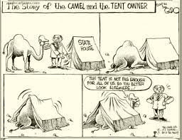 From the archive of the old print man. Rapperpandit à´‡à´¨ à´¤ à´¯4à´•à´¶ à´® àµ¼ On Twitter Classic Case Of Arab The Camel Story Https T Co Ftgrrnqlhi