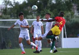 4 0 (1) 2015 fc millwall 10 0 (1) 2016 fk as trenčín: Fc Aarau On Twitter Unsere Offensivspieler Liridon Balaj Und Donat Rrudhani Kamen Heute Nachmittag Beim Landerspiel Gegen Guinea 1 2 Erstmals Im Trikot Der Kosovarischen Nationalmannschaft Zum Einsatz Bravo Jungs Https T Co Gpqdhi9e5k