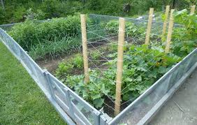 Cloture A Jardin Avec Porte Fait Maison Anti Lievre Homemade Garden Fence With Door Anti Rabbit Idees Jardin Amenagement Paysager Jardins