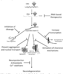 Pdf 6 Machado Joseph Disease Spinocerebellar Ataxia Type 3 Semantic Scholar
