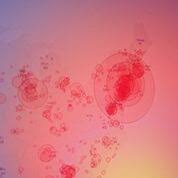 This new covid vaccine could bring hope to the unvaccinated world. The Critical Role Of Animals In Developing Covid 19 Treatments And Vaccines Americans For Medical Progress