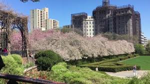 Rediscover the haupt conservatory and plants from around the world. Conservatory Garden Spring Central Park New York Youtube