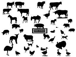 Pin On Graphic Design Inspiration