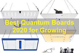 If you're not sure which grow light to get and cost is an issue, get one of these lights. Best Quantum Boards 2021 Quantum Board Led Grow Lights Reviews 420 Big Bud