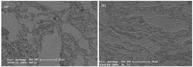 On blâme dans le monde de semblables liaisons, et pourtant il y a mille à parier contre un que la femme qui fait naître un durable attachement est plus estimable que celle qui inspire un violent amour. Materials Free Full Text In Situ Stress Tensor Determination During Phase Transformation Of A Metal Matrix Composite By High Energy X Ray Diffraction