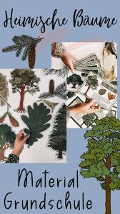 Check spelling or type a new query. Materialpaket Wald Waldtiere Heimische Baume Bestimmen Fussspuren Herbarium Pdf Heimische Baume Baum Laubbaum