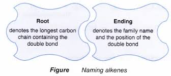 What Is An Alkene In Chemistry A Plus Topper Https Www Aplustopper Com Tag Homologous Series Physical And Chemical Properties Chemistry Structural Formula