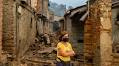 Spain Wildfires Burn Nearly 350,000 Hectares as Damage Assessment Continues