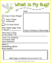Free Insect Identification Printable For Kids Nature Science Science Early Lear Kindergarten Learning Activities Kindergarten Learning Insect Identification