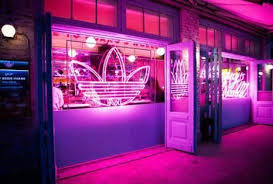 Vaporwave Room Neon Aesthetic Neon Jungle Vaporwave