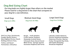 34 Credible Miniature Australian Shepherd Size Chart