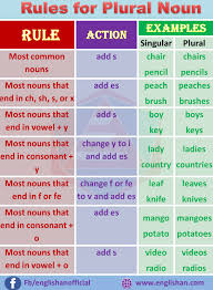 Singular And Plural Nouns Rules And Example Englishan Singular And Plural Nouns Plurals Singular And Plural Words