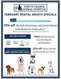 Home dental care and routine cleanings can help prevent periodontal disease. February 2020 Dental Month Discounts North Orange Animal Hospital