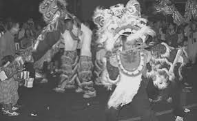 IMMIGRANT PARTICIPATORY ARTS