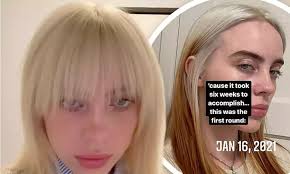 She first gained attention in 2015 when she uploaded the song ocean eyes to. Dailymail Billie Eilish Admits It Took Six Weeks To Accomplish Her Blonde Hair Tvshowbiz