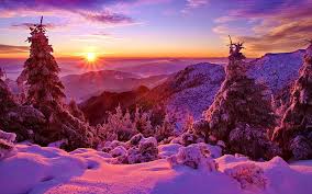 Winter Sky Sunset Mountains Forest Trees Spruce Snow Hd Wallpaper Winter Landscape Winter Sunset Winter Pictures