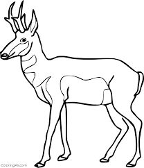 Animal pronghorn mexico herbivore mammal coloring coloring page united states. Easy Walking Pronghorn Coloring Page Coloringall